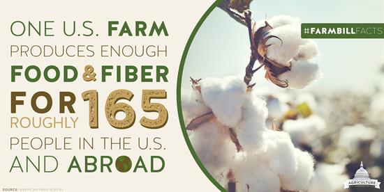 One U.S. farm supplies 165 people with enough food and fiber for an entire year.